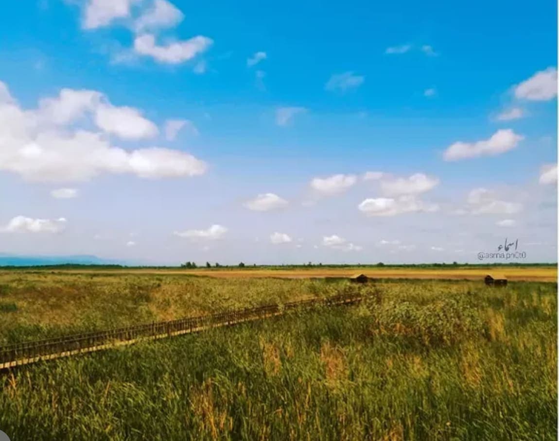 طبیعت ۸